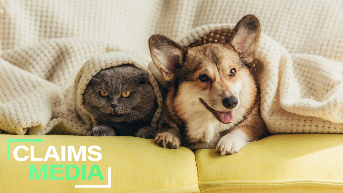 Pet Insurance premiums edge up in Q3 as market steadies after early-year declines